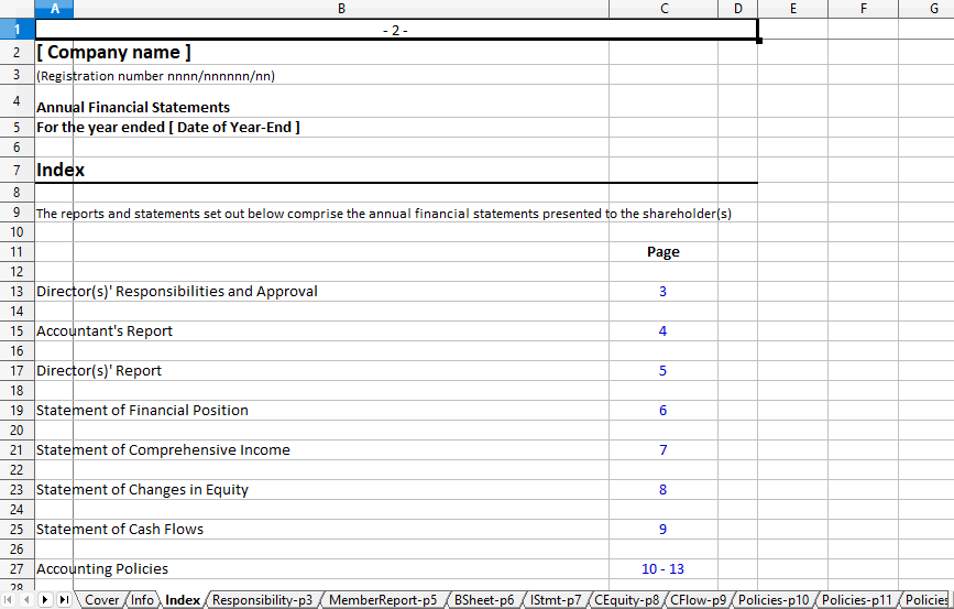 Annual Financial Statements for a Company Spreadsheet
