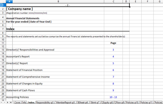 Annual Financial Statements for a Company Spreadsheet