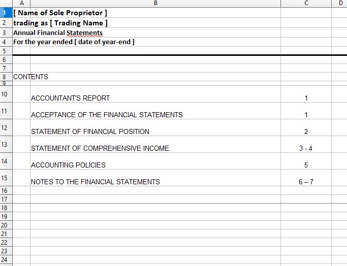 Annual Financial Statements for a Sole Proprietor Spreadsheet